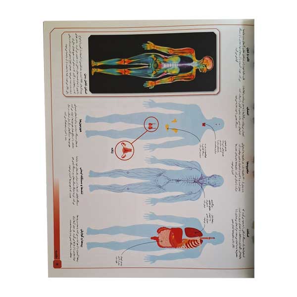 دایره المعارف مصور بدن شگفت انگیزما